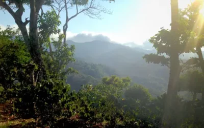 Finding Beauty in El Salvador – Part 1